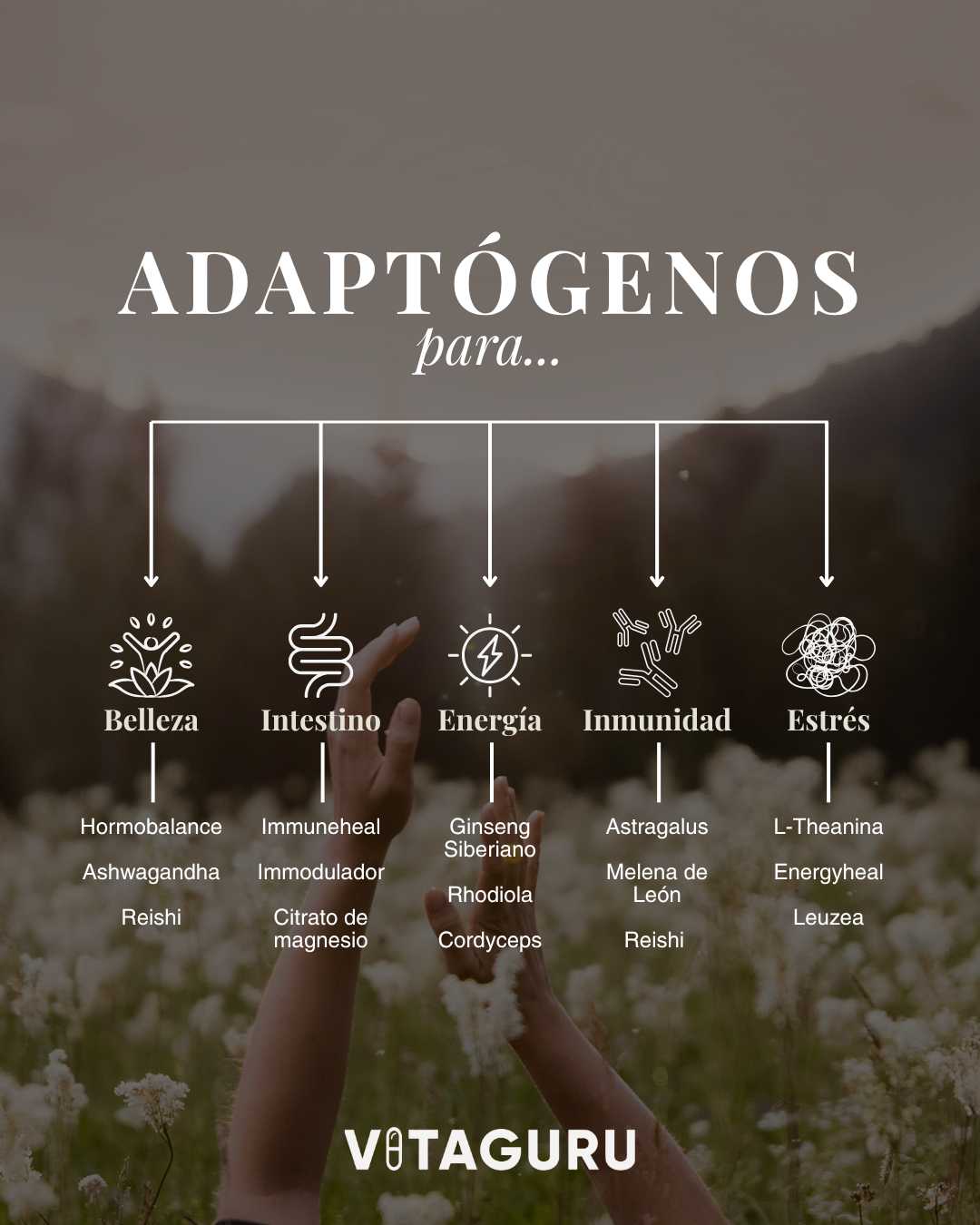 Ashwagandha + L-Teanina: La Pareja Perfecta para Reducir Estrés y Mejorar tu Bienestar