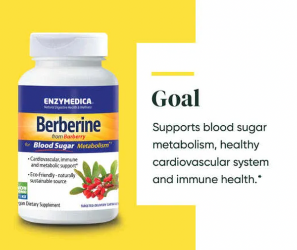 Berberine from barberry. Metabolismo del azúcar en sangre. ENZYDEMICA. VITAGURU