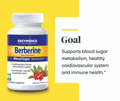 Berberine from barberry. Metabolismo del azúcar en sangre. ENZYDEMICA. VITAGURU