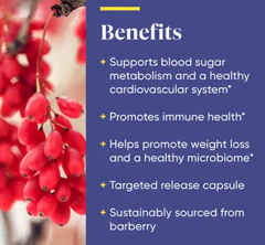 Berberine from barberry. Beneficios. ENZYDEMICA. VITAGURU
